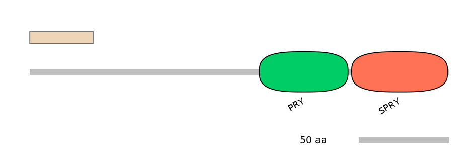 HsaALTA0008961-2_3-EXC