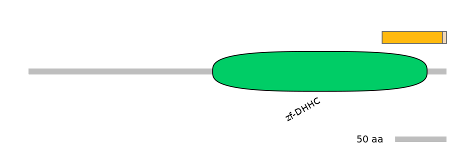 HsaALTA0009667-1_2-EXC