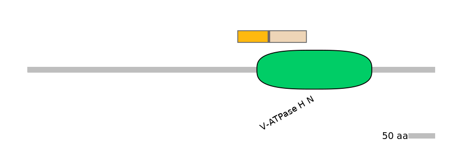HsaALTA0009673-2_2-INC