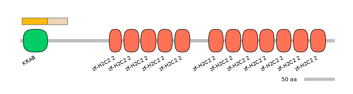 HsaALTA0009687-1_2-EXC