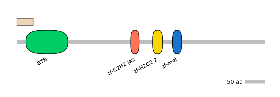 HsaALTA0009733-1_2-EXC