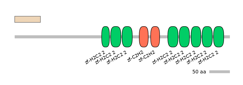 HsaALTA0009803-1_2-EXC