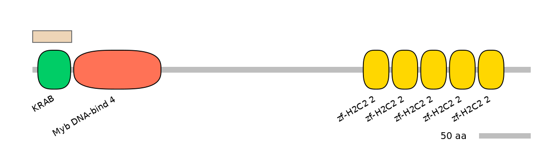HsaALTA0009824-1_2-EXC