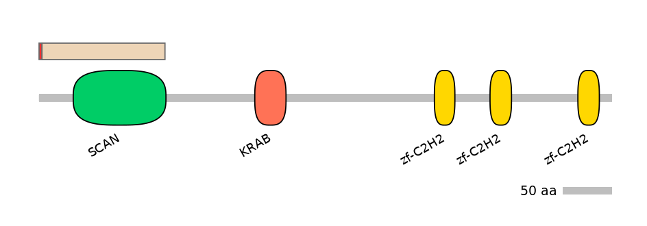 HsaALTA0009836-2_4-INC