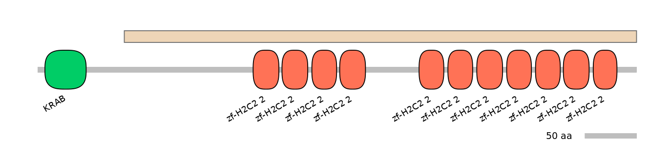 HsaALTA0009883-1_2-EXC