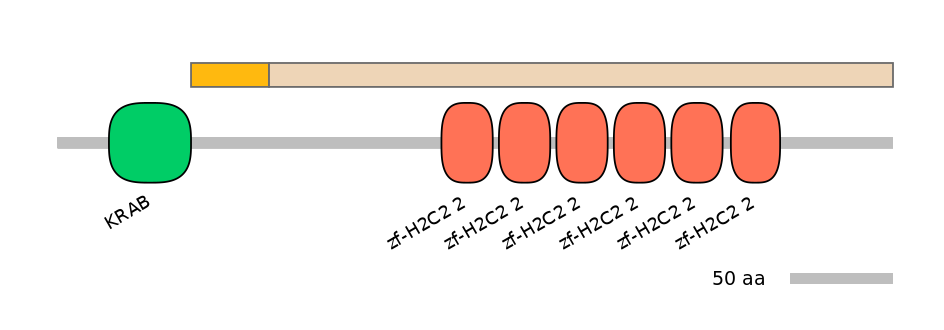 HsaALTA0009911-2_2-EXC