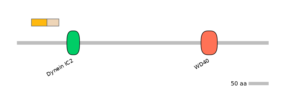 HsaALTA1006529-1_2-EXC