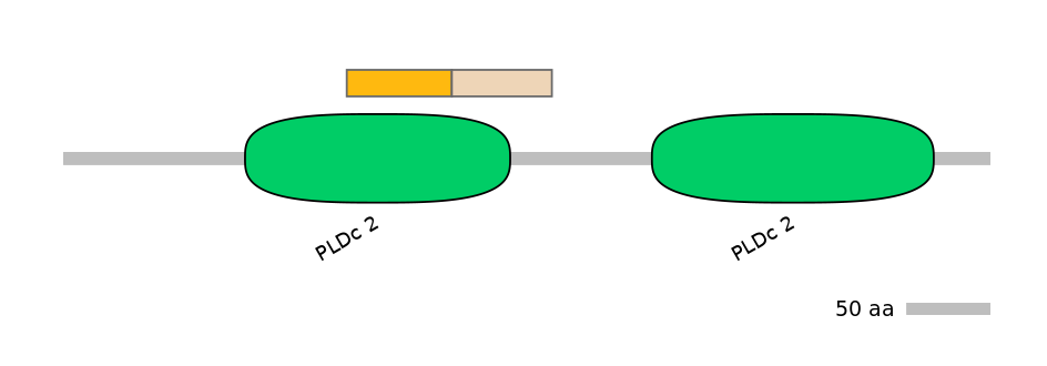 HsaALTA1008054-1_4-EXC
