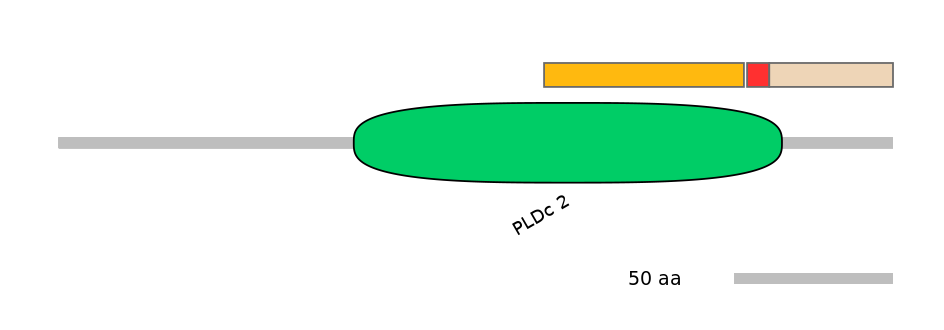 HsaALTA1008054-3_4-EXC