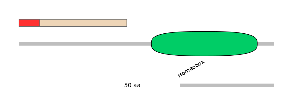 HsaALTA1008803-3_3-INC
