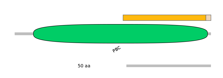 HsaALTA1013566-1_2-INC