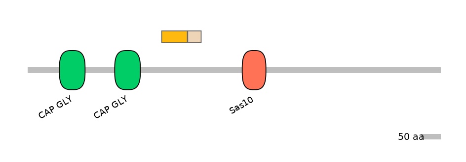 HsaALTA1014058-1_2-EXC
