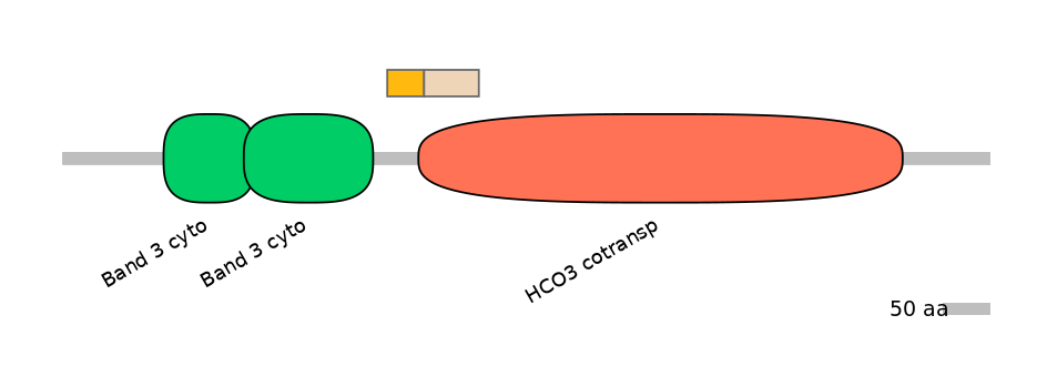 HsaALTA1017031-1_5-EXC