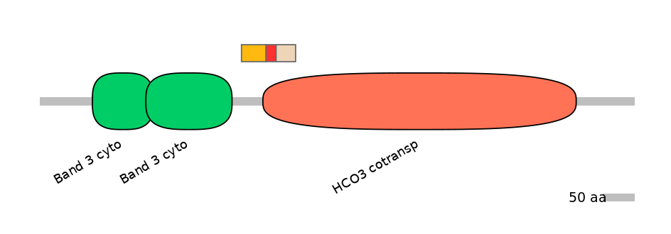 HsaALTA1017031-4_5-EXC