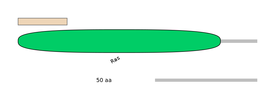 HsaALTA1021532-1_3-EXC