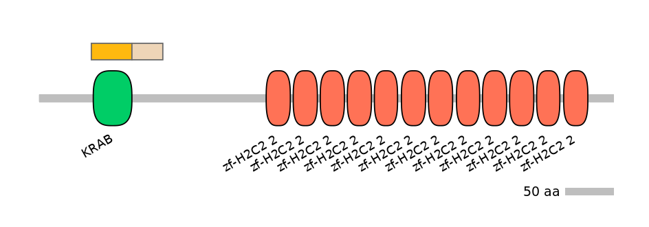 HsaALTA1024480-1_2-INC