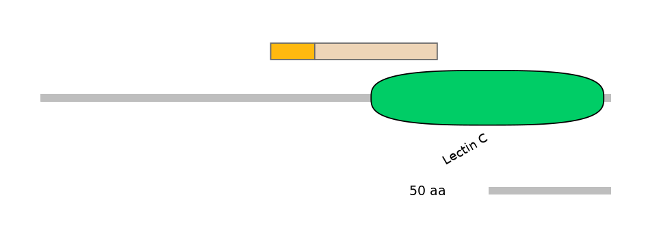 HsaALTA1026532-1_2-EXC