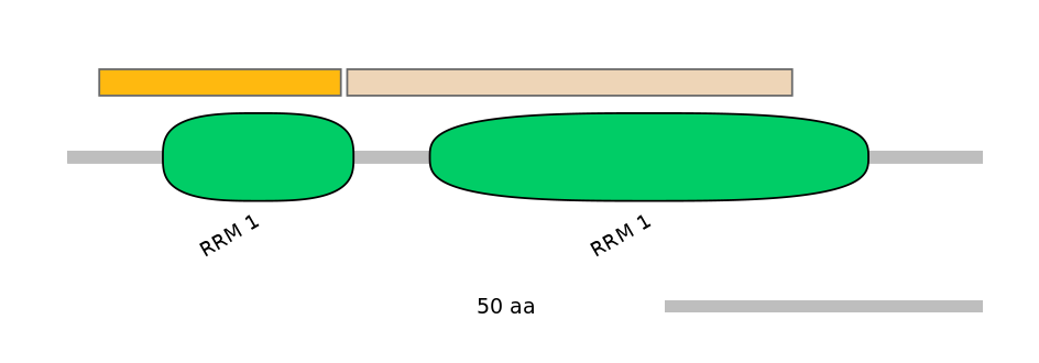HsaALTA1027202-1_2-EXC