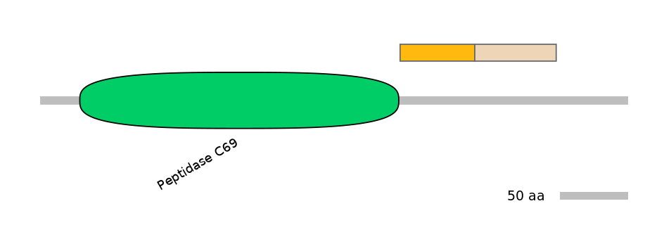 HsaALTA1030992-1_2-EXC