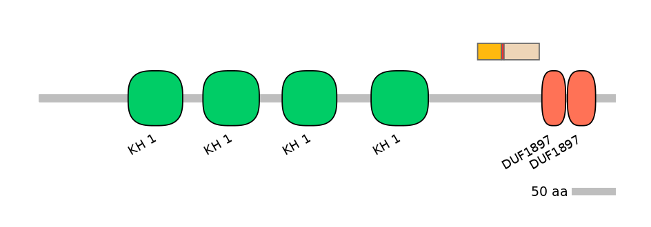 HsaALTA1039848-3_3-INC