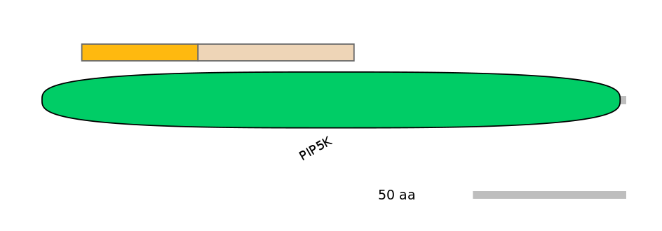 HsaALTA1043280-1_2-EXC
