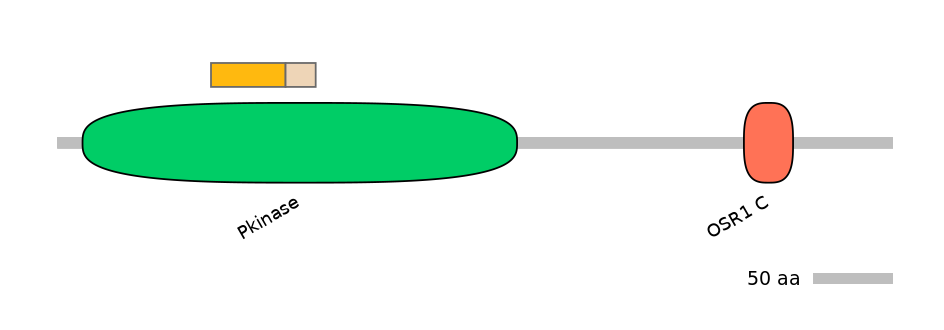 HsaALTA1046524-1_3-EXC