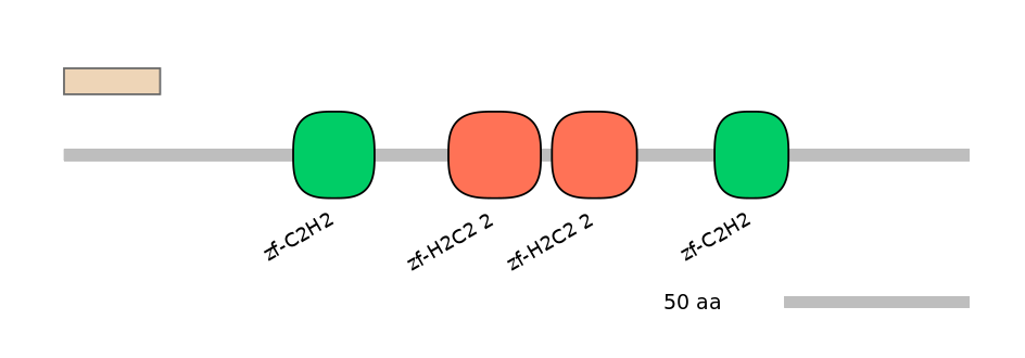 HsaALTA1048091-3_3-EXC