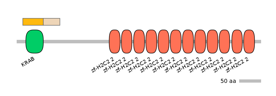 HsaALTA1052860-1_2-INC