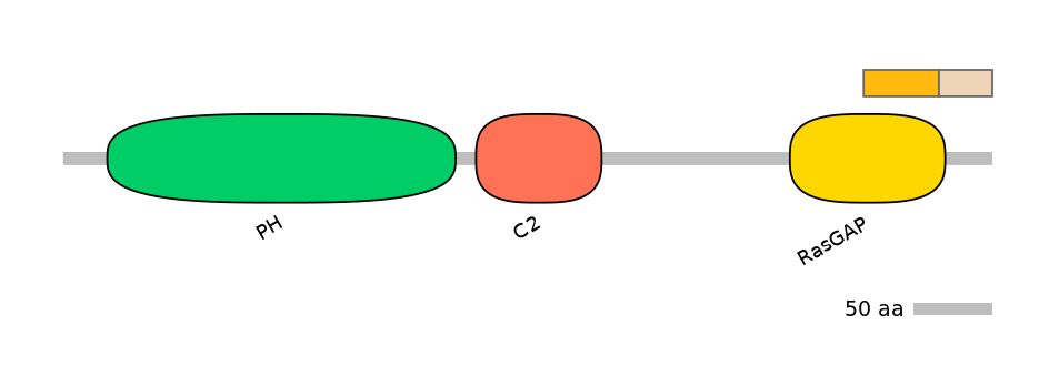HsaALTA1053910-1_4-EXC