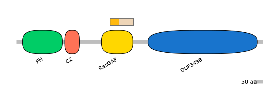 HsaALTA1053910-1_4-INC