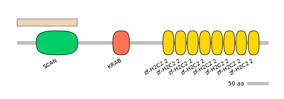 HsaALTA1054786-2_2-INC