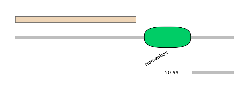 HsaALTA1054795-1_2-EXC