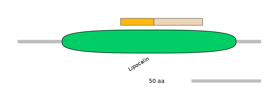 HsaALTA1055690-4_5-EXC