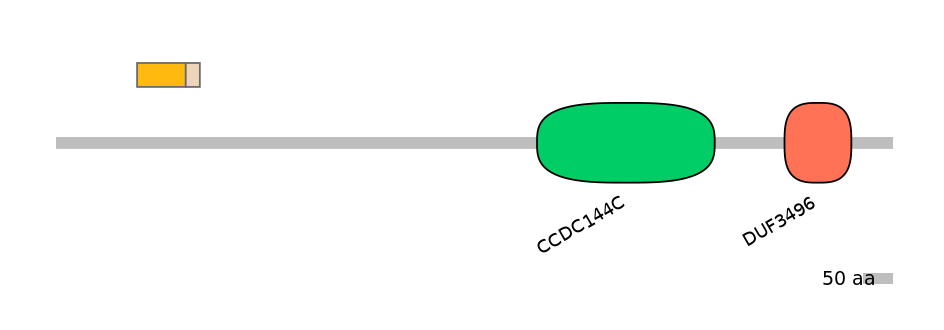 HsaALTA1064215-1_2-EXC
