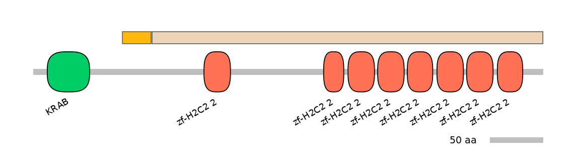 HsaALTA1064286-1_4-EXC