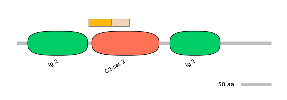 HsaALTD0000198-1_2-EXC