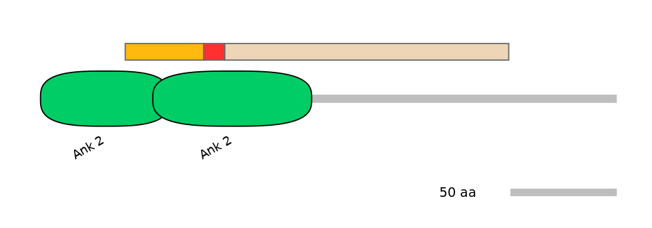 HsaALTD0000333-2_2-INC