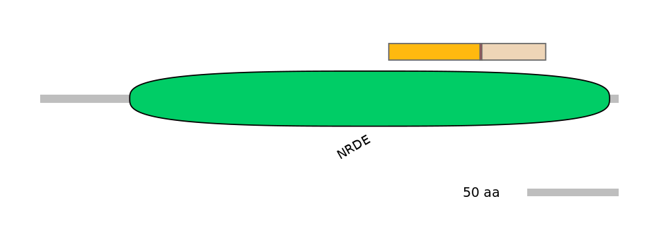 HsaALTD0000955-2_3-INC