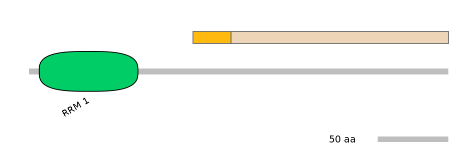 HsaALTD0001448-1_2-EXC