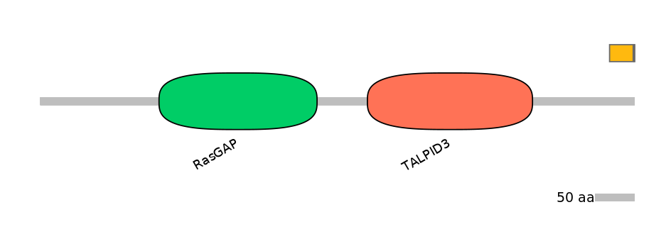 HsaALTD0002713-2_2-EXC