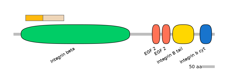 HsaALTD0003350-1_2-EXC