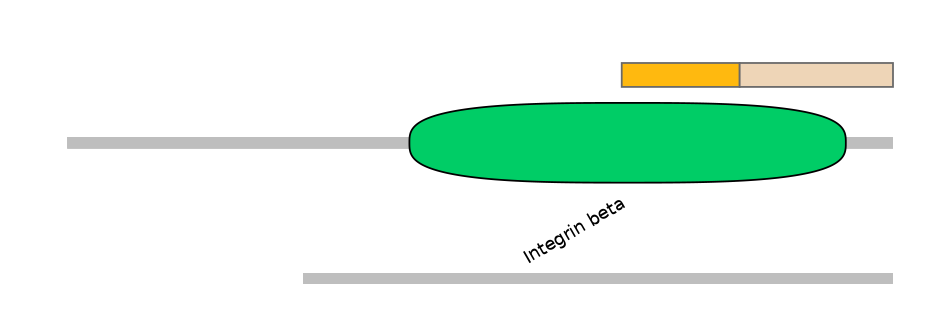 HsaALTD0003350-2_2-EXC