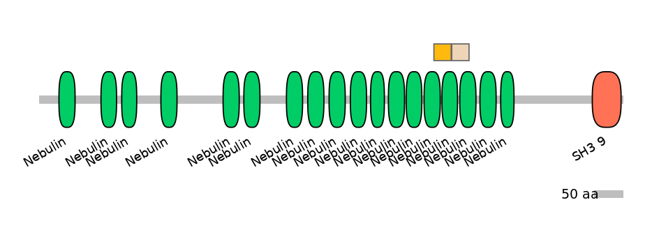 HsaALTD0004262-2_2-EXC