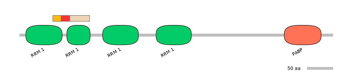 HsaALTD0004534-3_5-INC