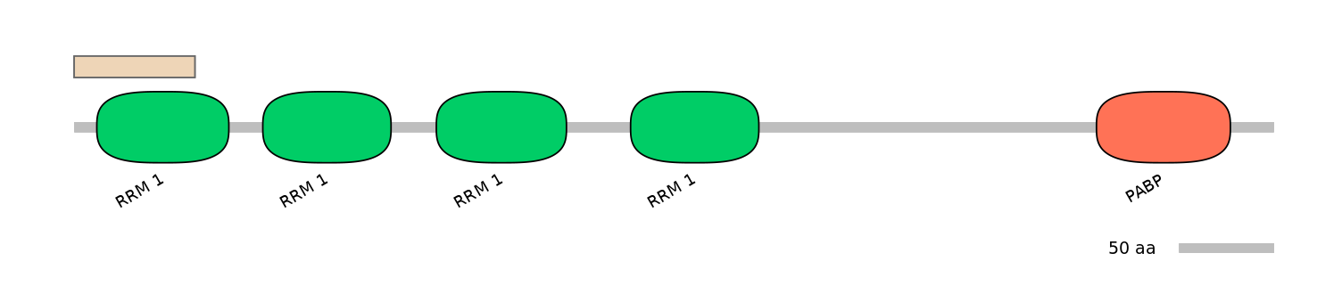 HsaALTD0004536-1_3-EXC
