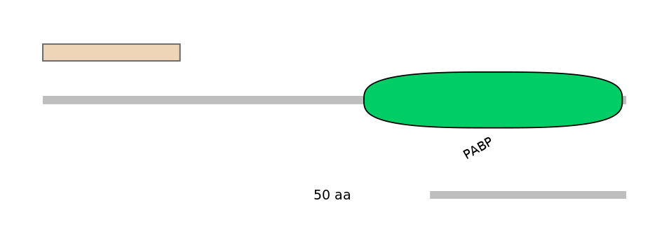 HsaALTD0004539-1_2-EXC