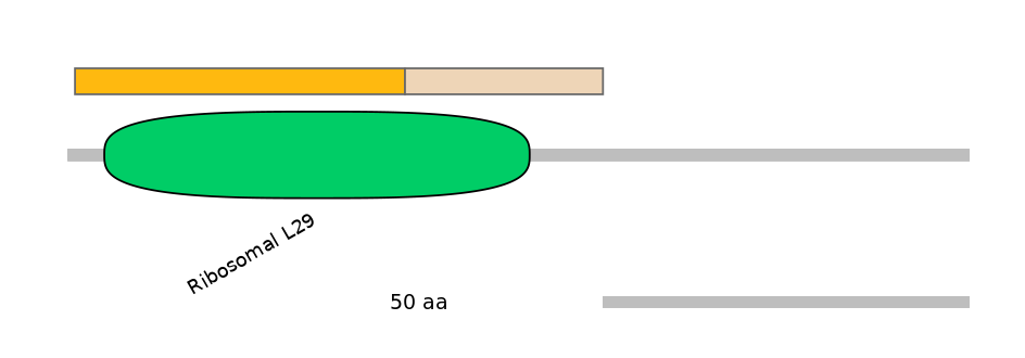 HsaALTD0005537-1_4-INC