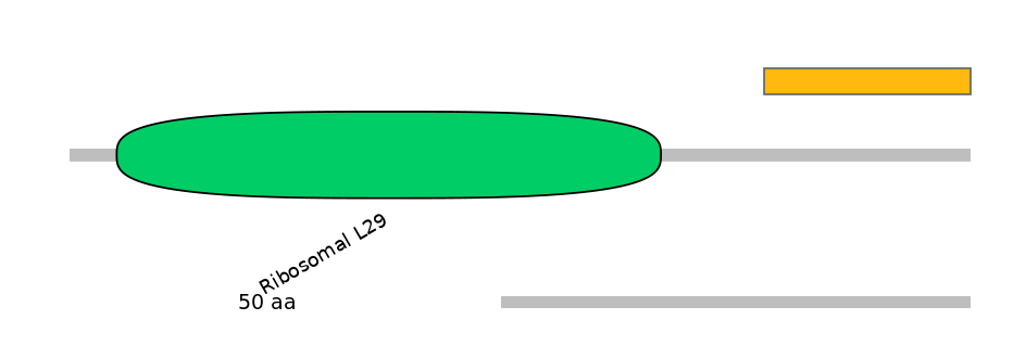 HsaALTD0005538-1_3-INC