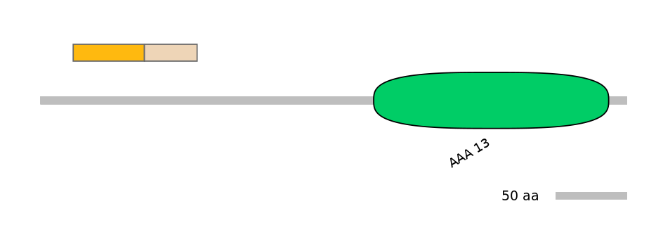 HsaALTD0005719-2_3-EXC