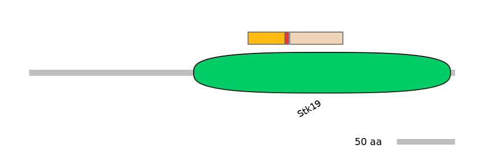HsaALTD0006270-3_4-INC